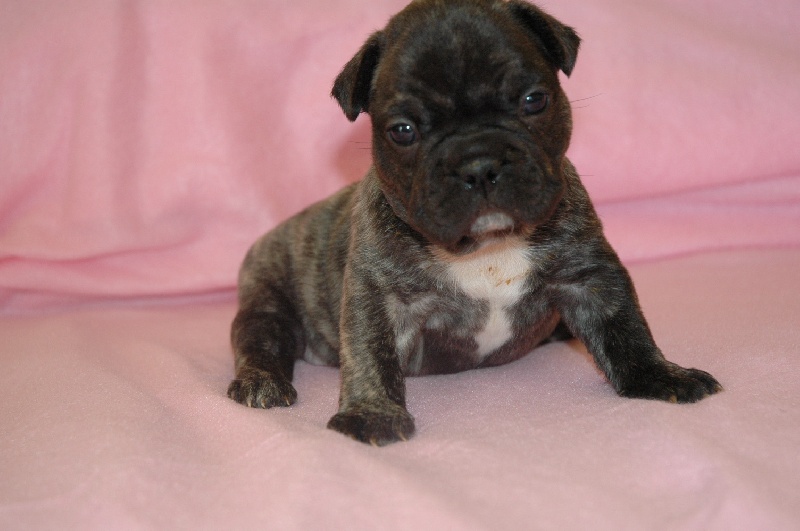 7 maison si jolie rencontre